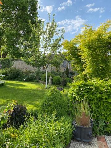 La Maison Des Buis Falaise  Luaran gambar