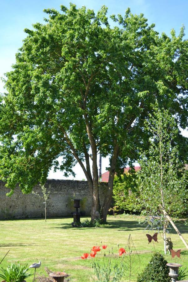 La Maison Des Buis Falaise  Luaran gambar